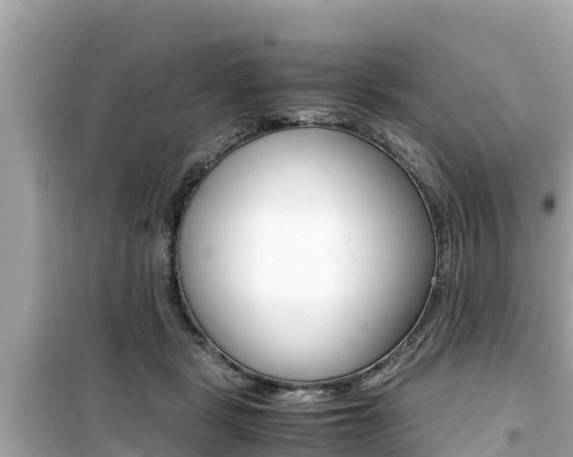 X0000099940461200805231024