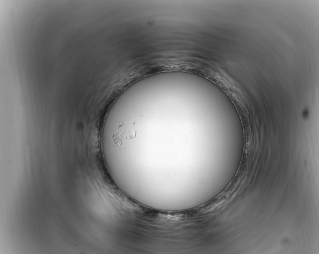 X0000099940469200805231025