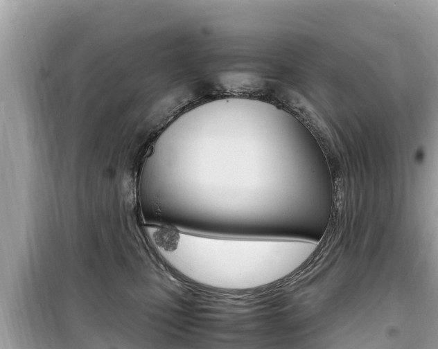 X0000099940471200805231025