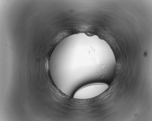 X0000099940479200805231025
