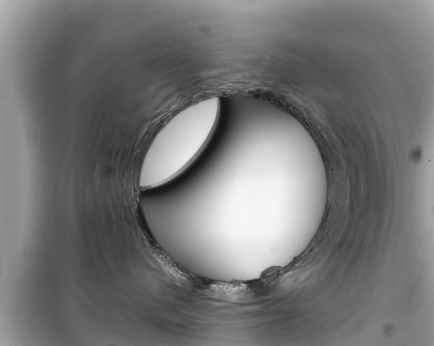 X0000099940480200805231025