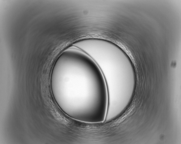 X0000099940481200805231024