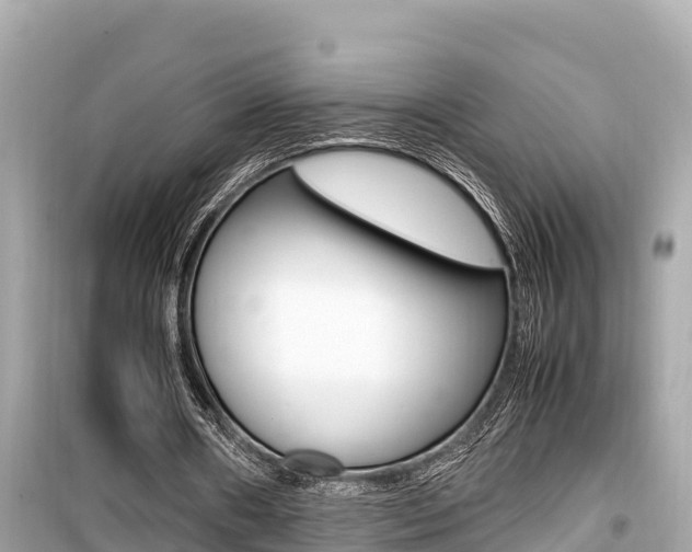 X0000099940482200805231024