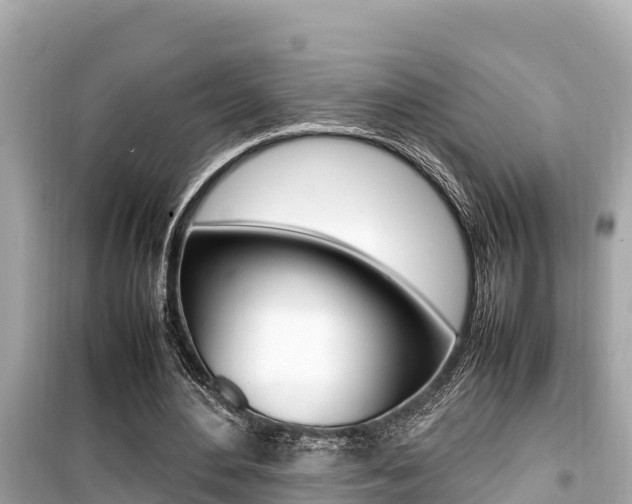X0000099940484200805231024