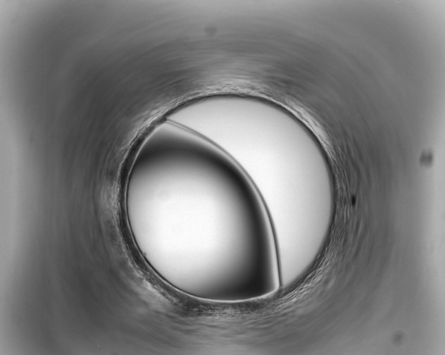 X0000099940485200805231024