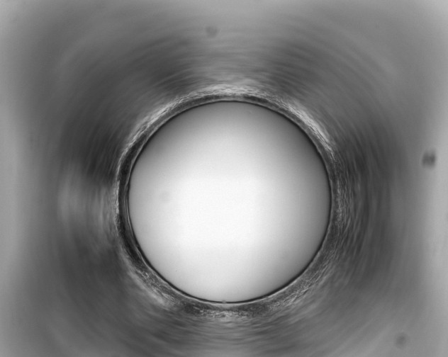 X0000099940486200805231024