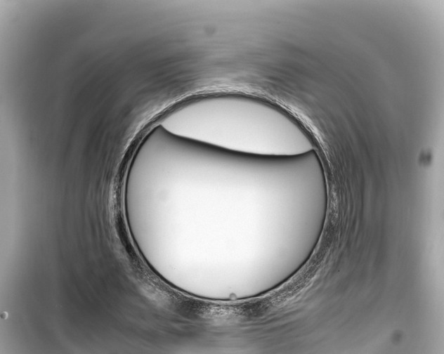 X0000099940487200805231024