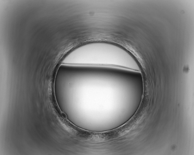 X0000099940489200805231024