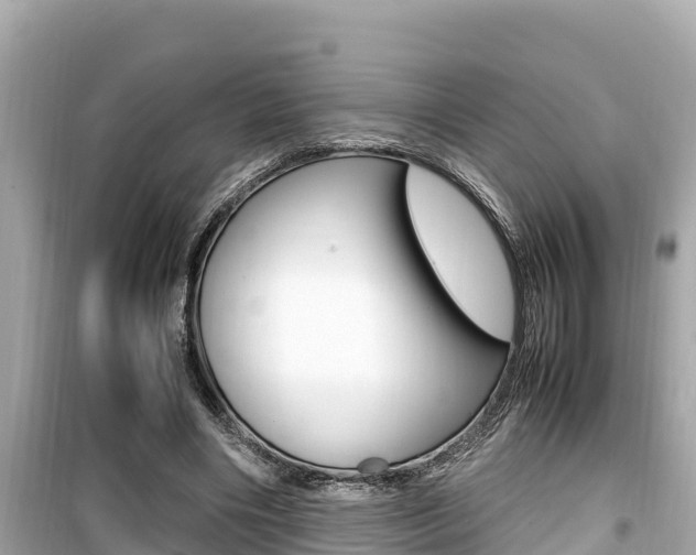 X0000099940490200805231024
