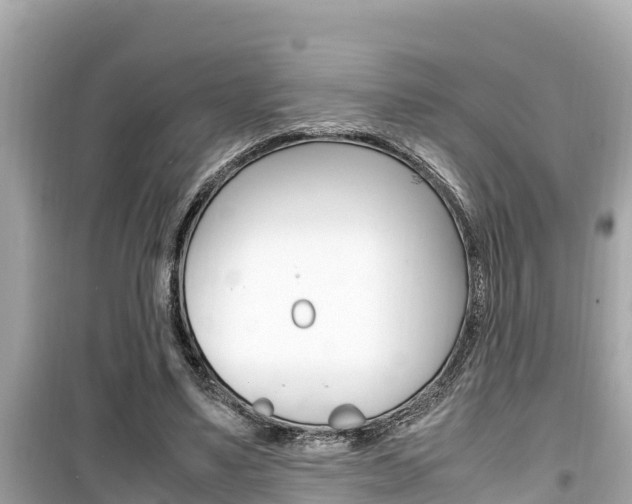 X0000099940491200805231024