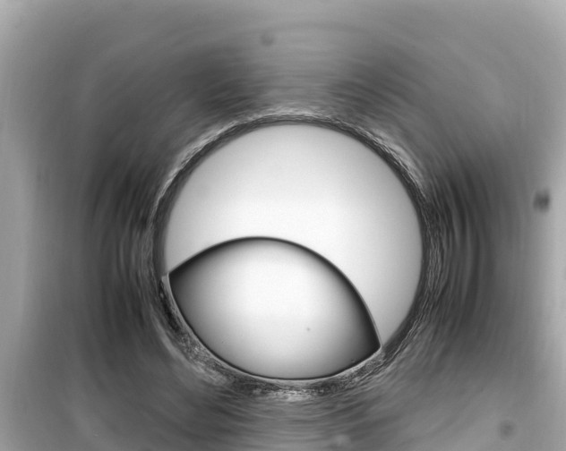 X0000099940492200805231024