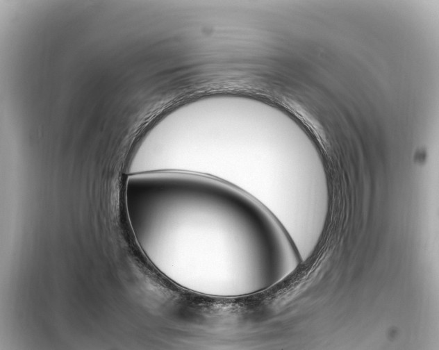 X0000099940493200805231024