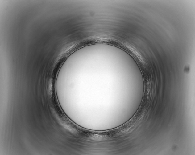X0000099940494200805231024