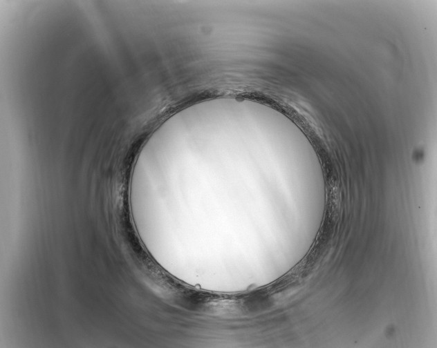 X0000099940499200805231024