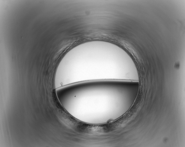 X0000099940501200805231024