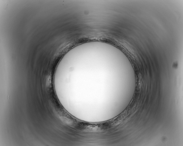 X0000099940502200805231024