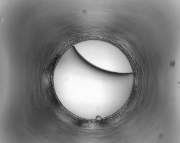 X0000099940503200805231024