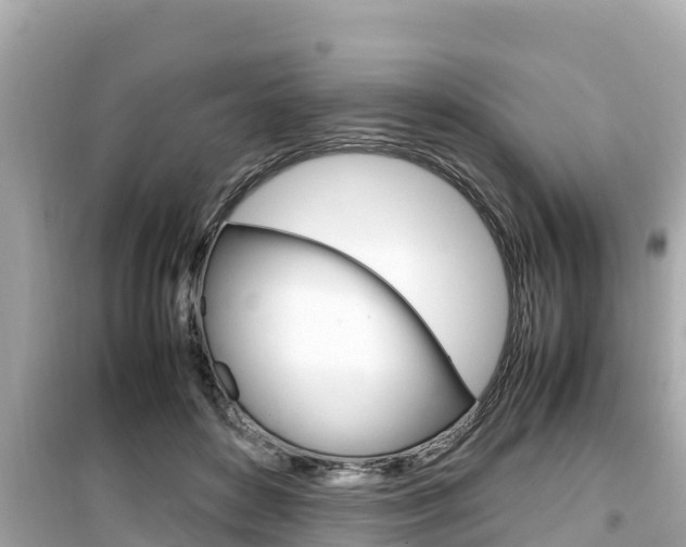 X0000099940504200805231024