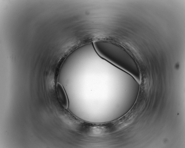 X0000099940508200805231024