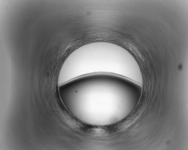 X0000099940509200805231024
