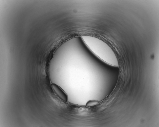 X0000099940512200805231024