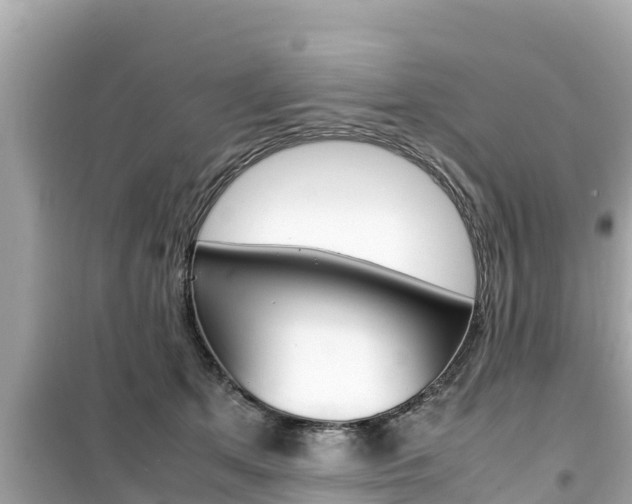 X0000099940513200805231024