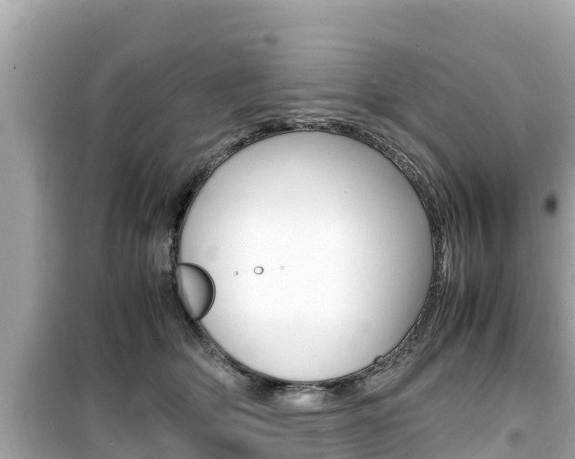 X0000099940514200805231024