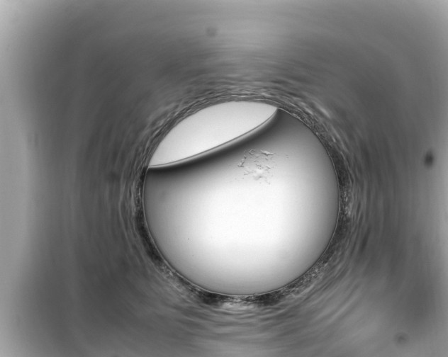 X0000099940515200805231024
