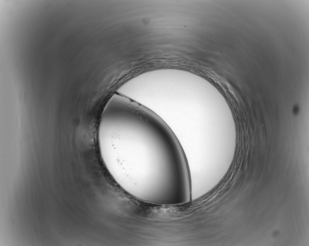 X0000099940517200805231023