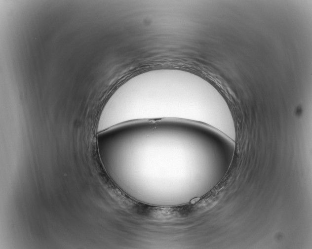 X0000099940521200805231023