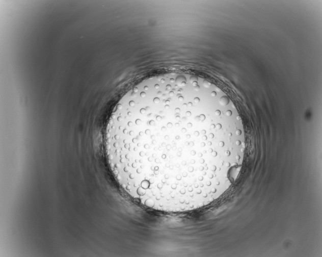 X0000099940523200805231023