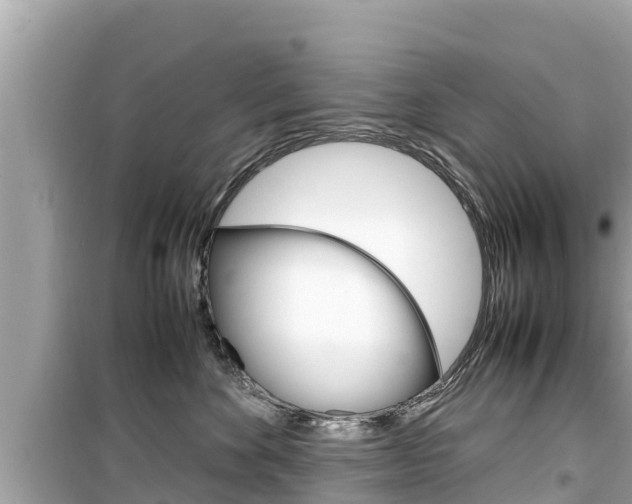 X0000099940524200805231023
