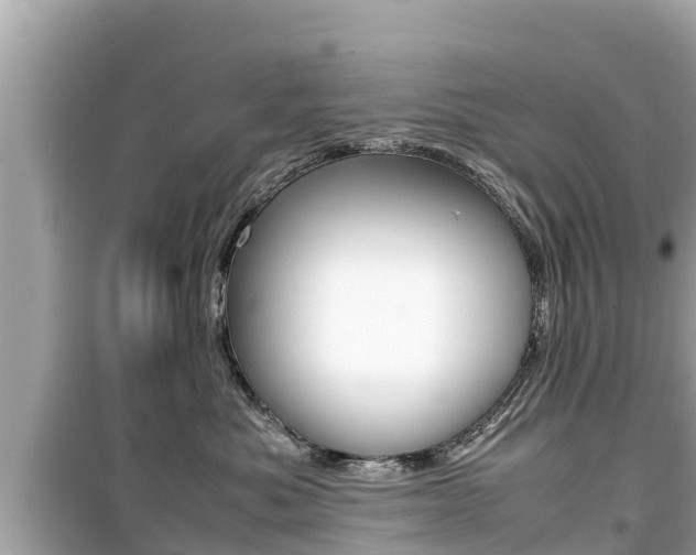 X0000099940525200805231023