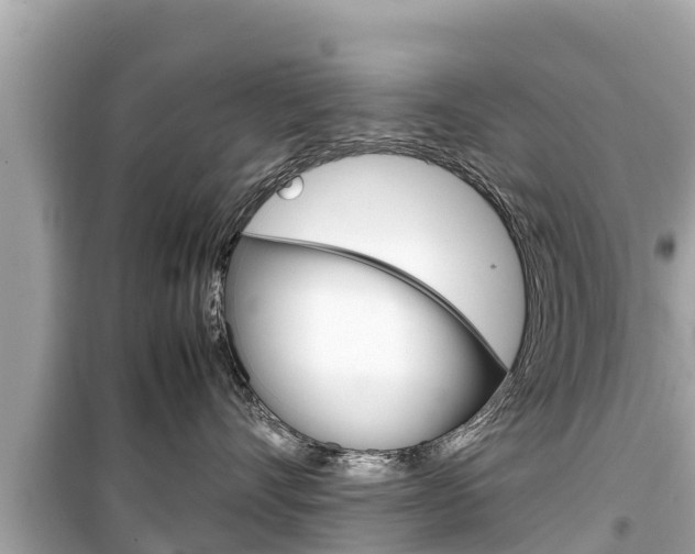 X0000099940528200805231023