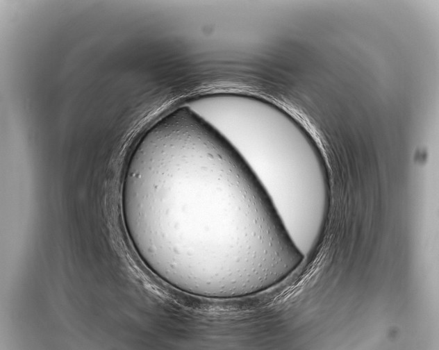 X0000099940529200805231022
