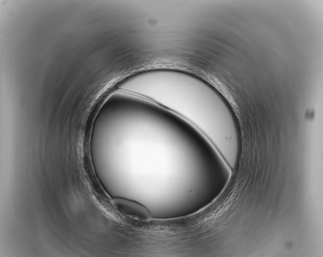 X0000099940530200805231023