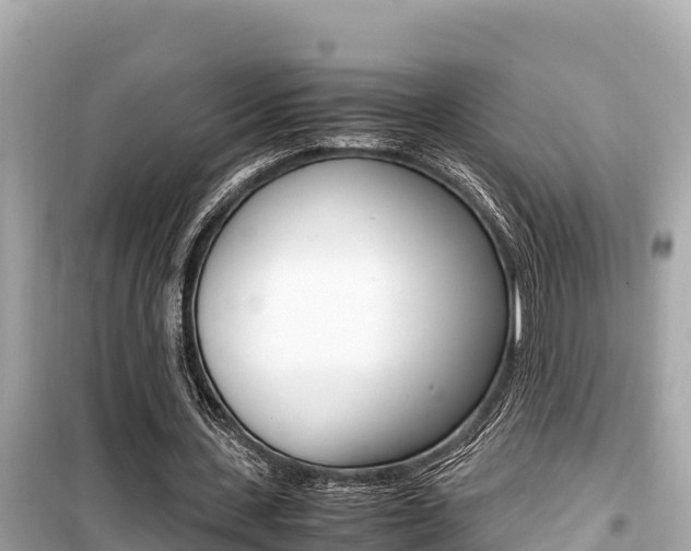 X0000099940531200805231023