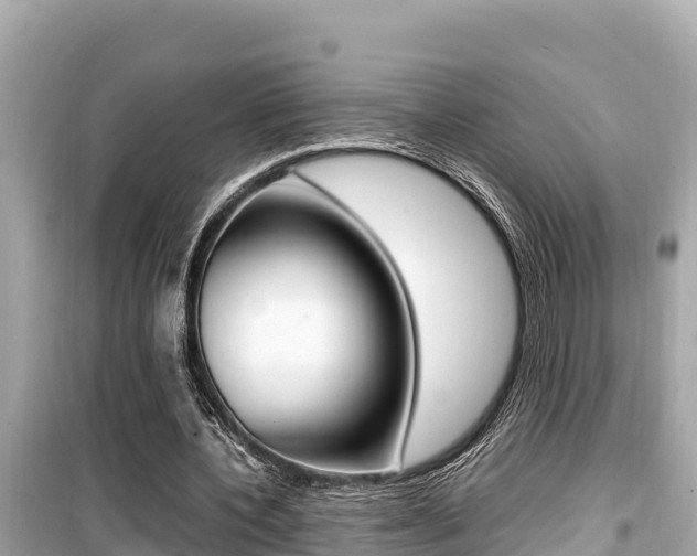 X0000099940532200805231023