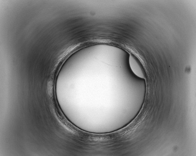 X0000099940533200805231023