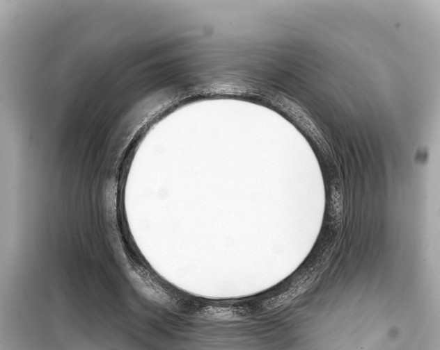 X0000099940534200805231023