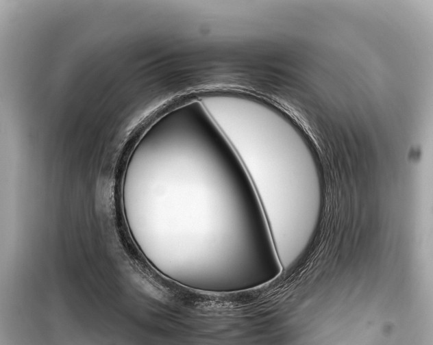 X0000099940535200805231023