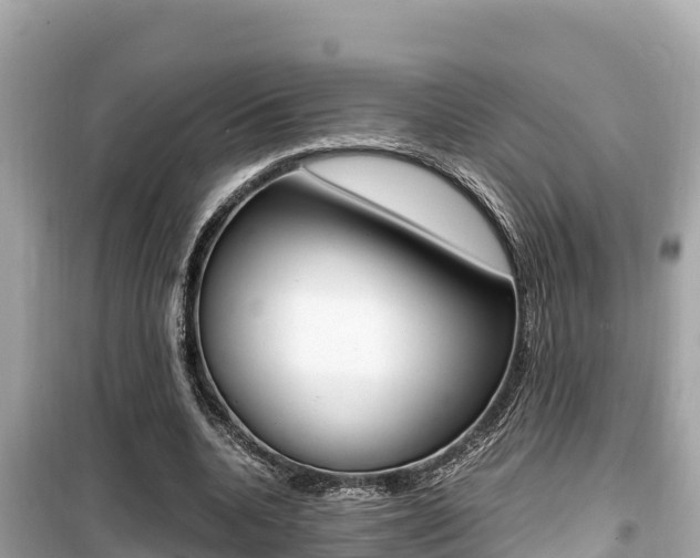 X0000099940536200805231023