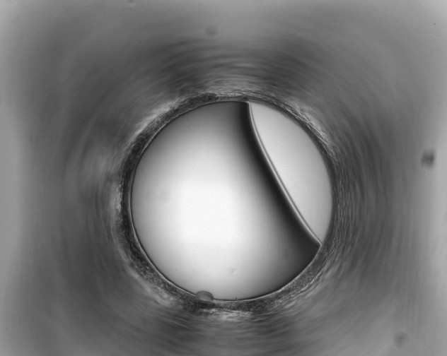 X0000099940539200805231023