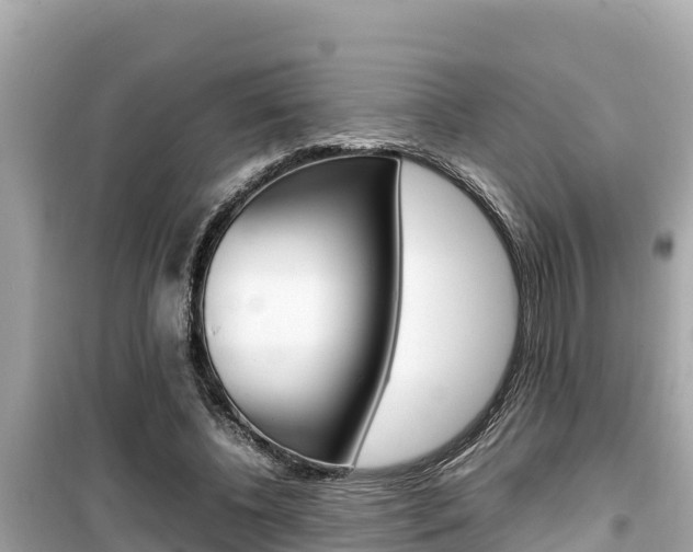X0000099940540200805231023