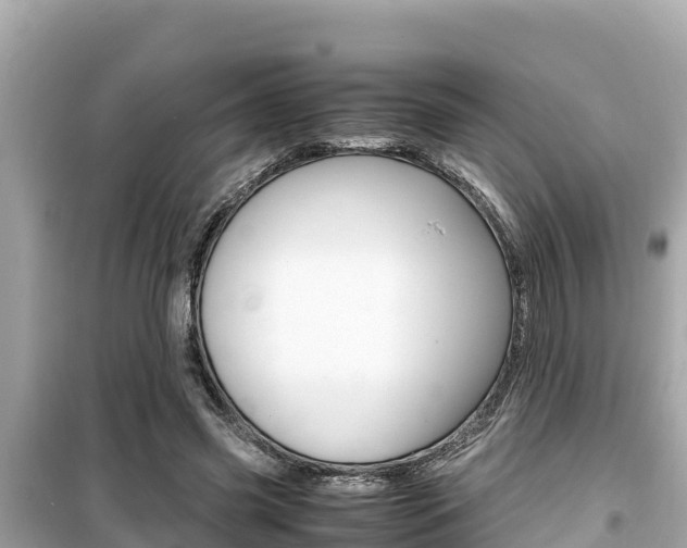 X0000099940541200805231023