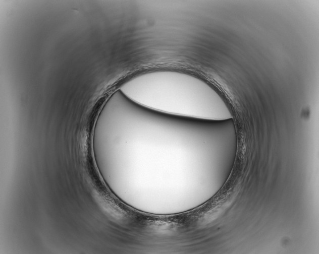 X0000099940542200805231023