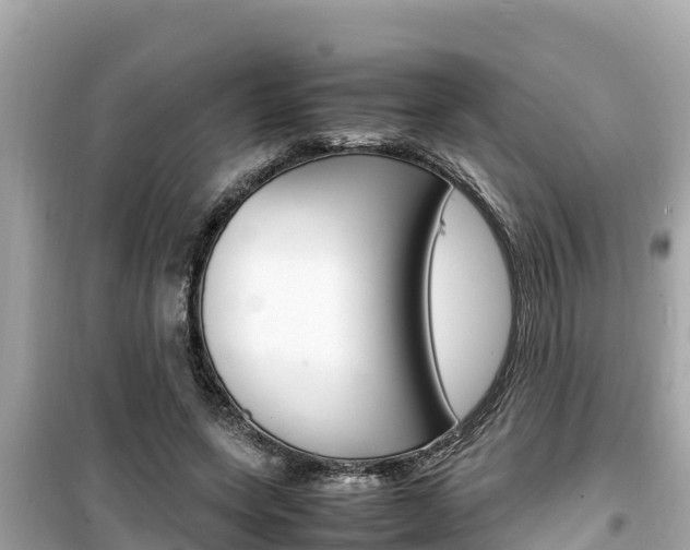 X0000099940543200805231023