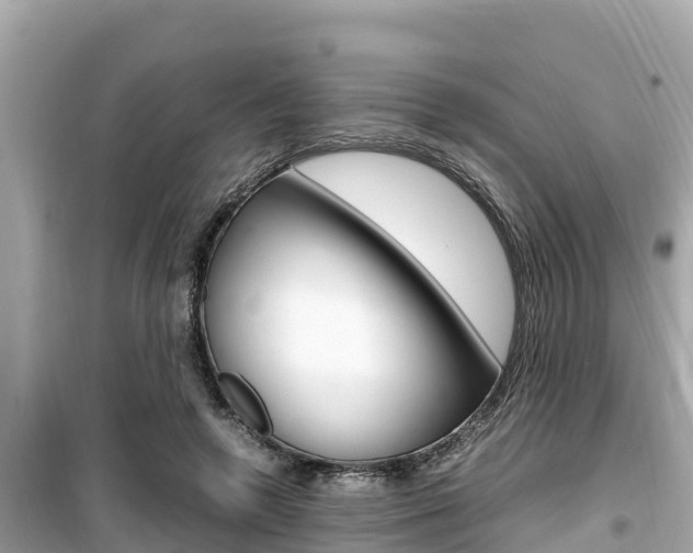 X0000099940546200805231023