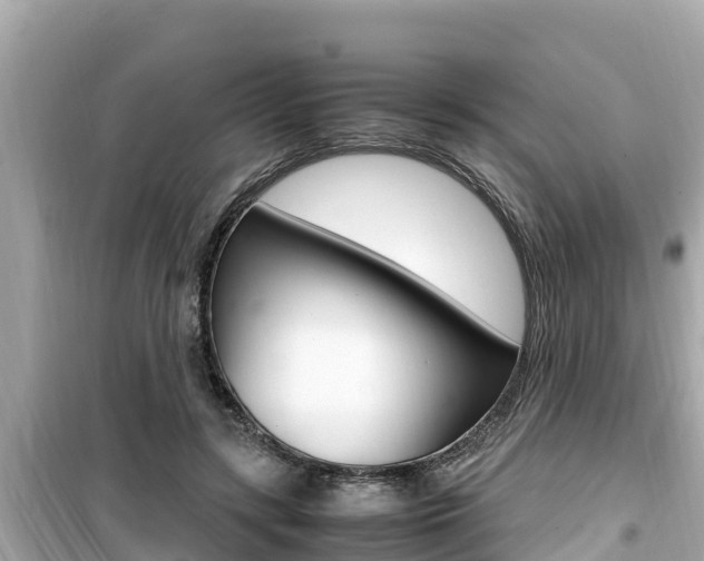 X0000099940547200805231023
