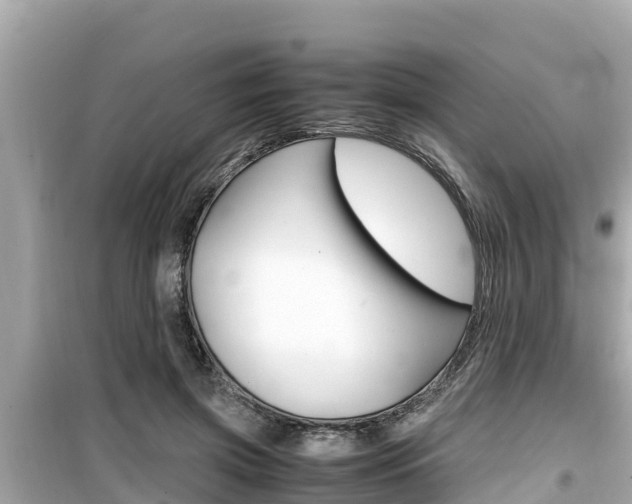 X0000099940549200805231023